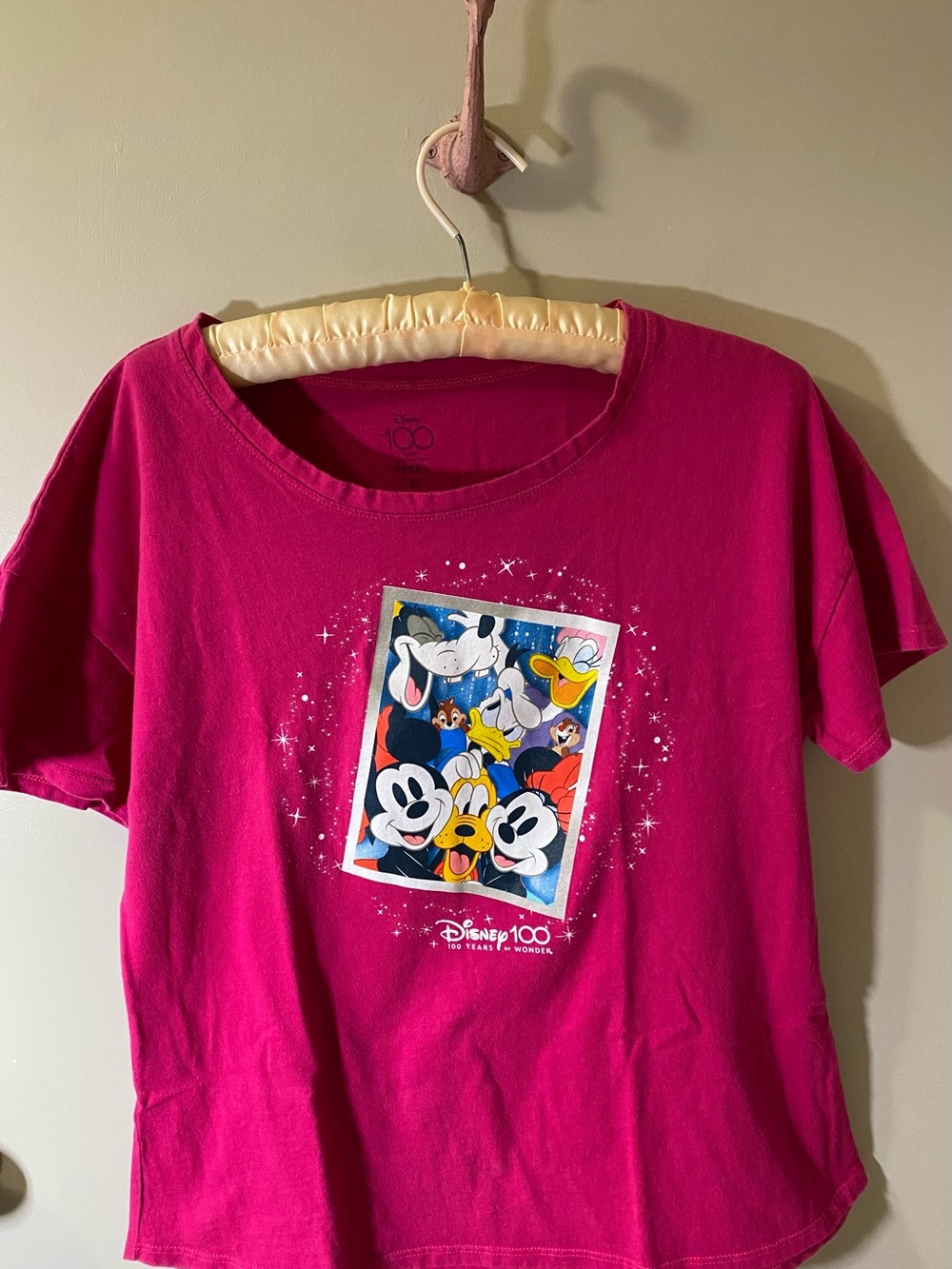 Disney 100 Pink Character T-Shirt
